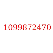 1099872470