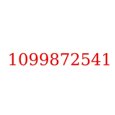1099872541