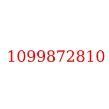 1099872810