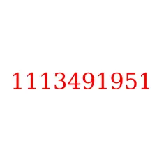 1113491951