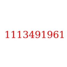 1113491961