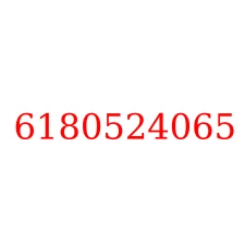 6180524065