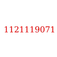 1121119071