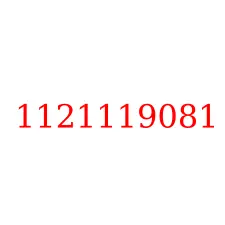 1121119081
