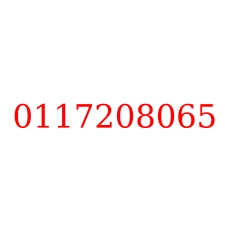 0117208065