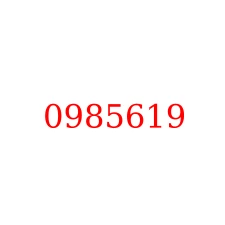 0985619