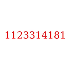 1123314181