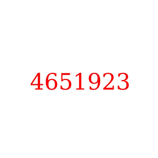 4651923 Упор (ограничитель) хода стрелы HITACHI ZX870-5G/ZX850-3, 4651923