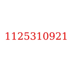 1125310921