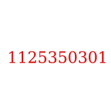 1125350301