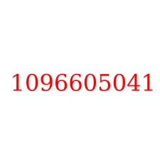 1096605041