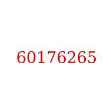 60176265