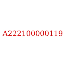 A222100000119