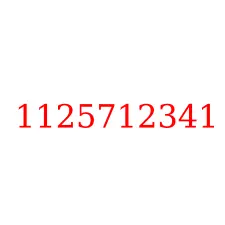1125712341