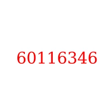 60116346