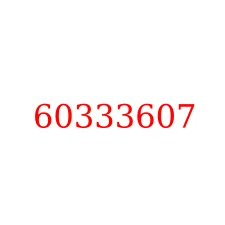 60333607