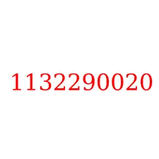 1132290020