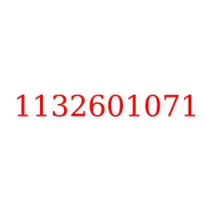 1132601071