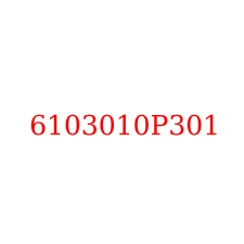 6103010P301