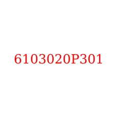 6103020P301