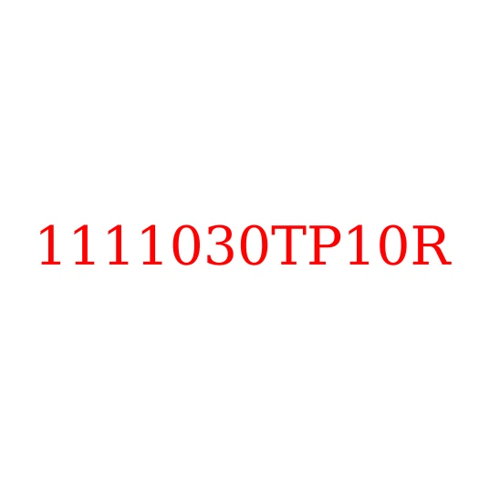 1111030TP10R Рампа топливная (Common Rail Delphi DFR4.20 28515519) QINGLING ISUZU ELF 600P/QL1080AK 4KH1-N6HD, 1111030TP10R