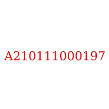 A210111000197