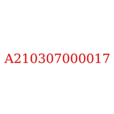 A210307000017