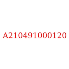 A210491000120