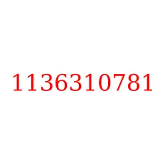 1136310781