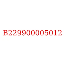 B229900005012
