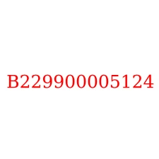 B229900005124