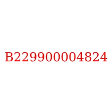 B229900004824