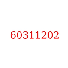 60311202