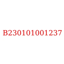 B230101001237