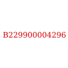 B229900004296