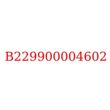 B229900004602