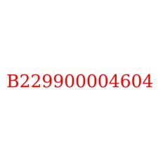 B229900004604