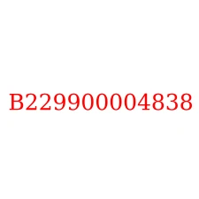 B229900004838