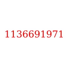 1136691971