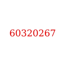 60320267