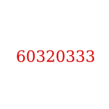 60320333