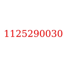 1125290030