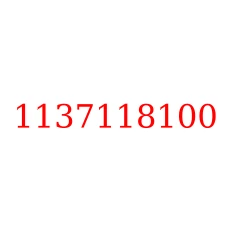 1137118100
