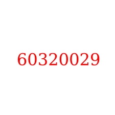 60320029