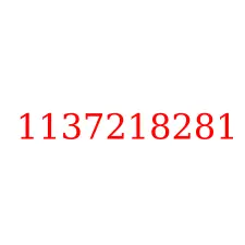 1137218281
