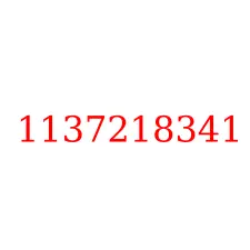 1137218341
