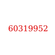 60319952