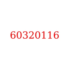60320116