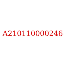 A210110000246