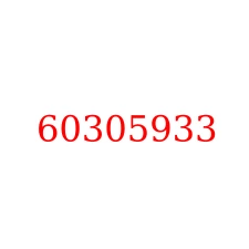 60305933